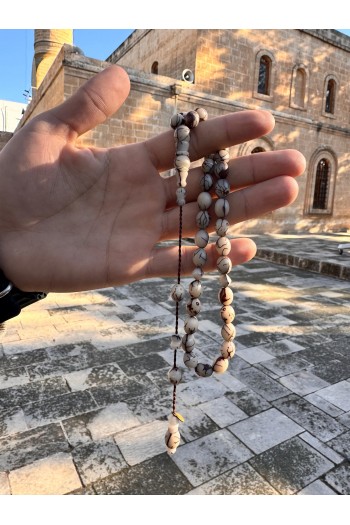 Kıbrıs Hurma Çekirdeği Ömer Çiftçi Kuru Tornasından Borulu İmmame