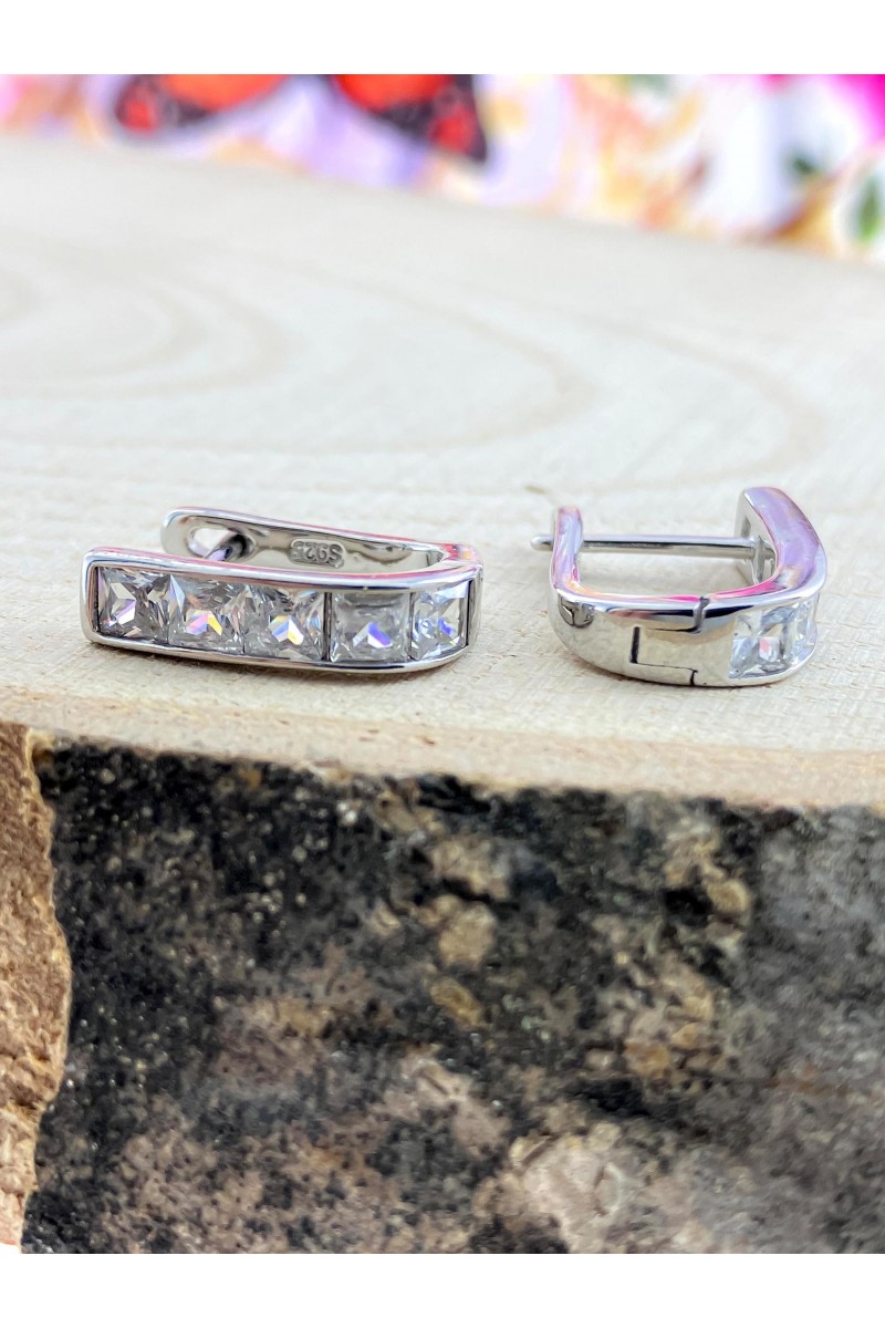 Zircon Stone-set Elips Zircon Silver Earrings